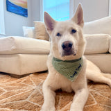 SHE'S A TEN BUT SHE EATS MY SHOES DOGGY BANDANA