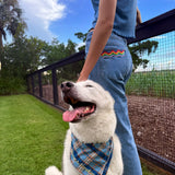 SHE'S A TEN BUT SHE EATS MY SHOES DOGGY BANDANA