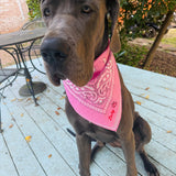 SHE'S A TEN BUT SHE EATS MY SHOES DOGGY BANDANA