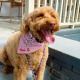 SHE'S A TEN BUT SHE EATS MY SHOES DOGGY BANDANA